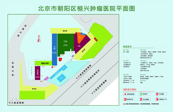 嗯啊,插我骚逼好不好北京市朝阳区桓兴肿瘤医院平面图